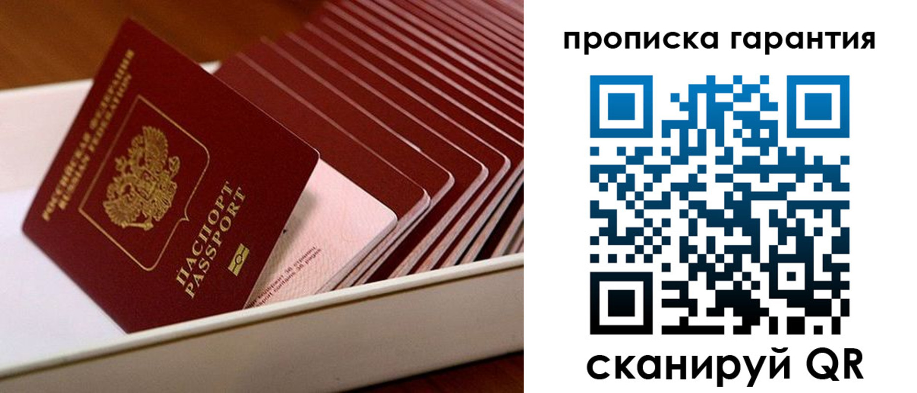 прописка поиск в Никольске